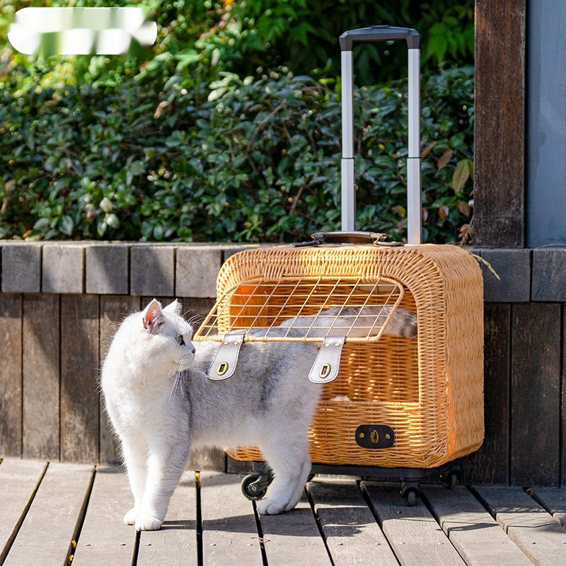 The Ultimate Portable Woven Rattan Pet Carrier: Stylish, Comfortable, and Functional